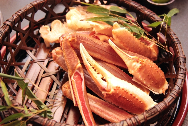 キトサンの効果・効能!キチンとキトサンの違いは?