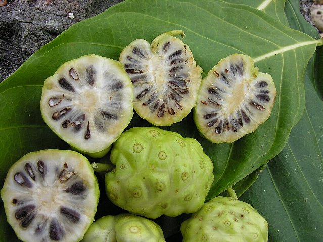 ノニの効果・効能【悪玉コレステロールを減少させる?】
