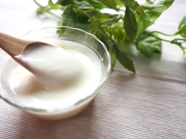プラズマ乳酸菌が凄い!その効果とR-1乳酸菌との違いは?