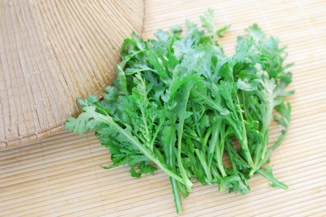 春菊の栄養と効能・効果や賞味期限は?